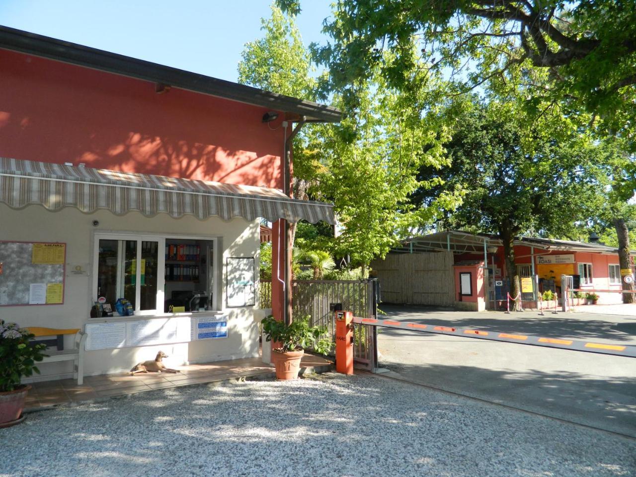 Camping Oasi Marina di Massa Eksteriør billede